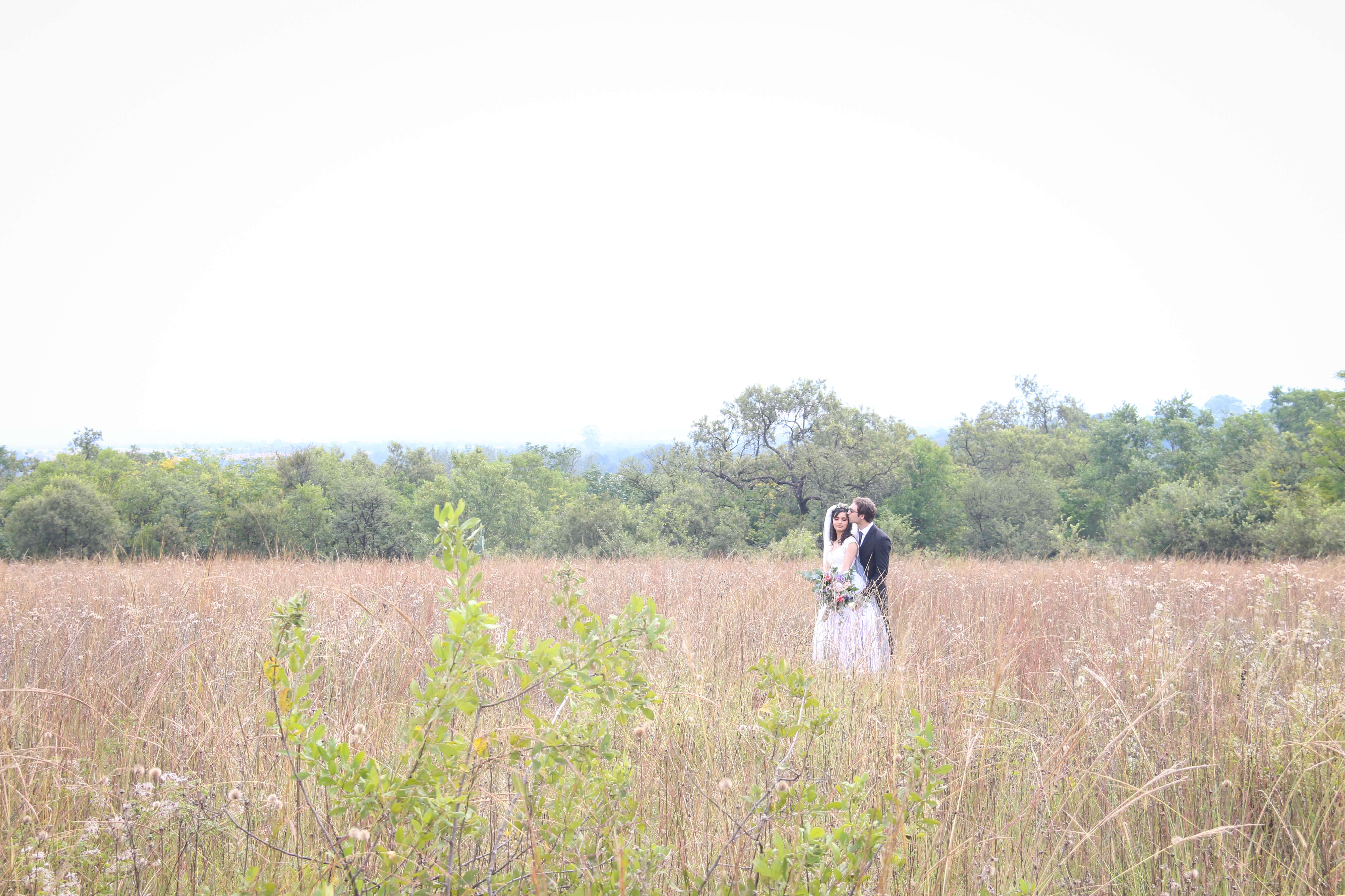 Weddings (30)